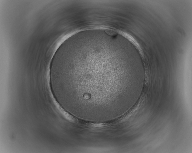 X0000113601431200909251147