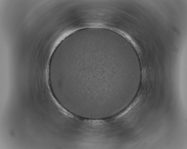 X0000113601432200909251147