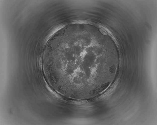 X0000113601433200909251147