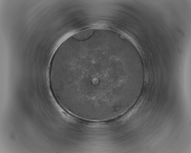 X0000113601434200909251147