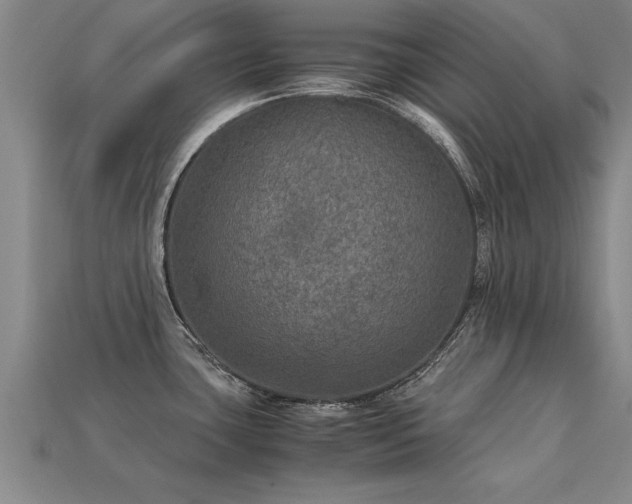 X0000113601435200909251147