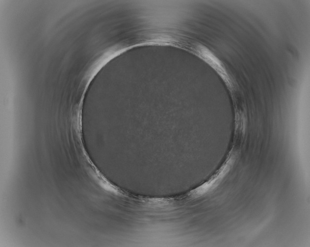 X0000113601436200909251147