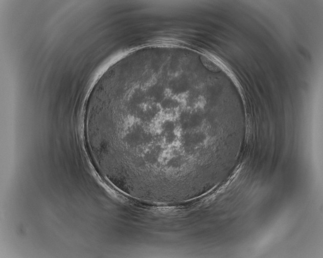 X0000113601437200909251147