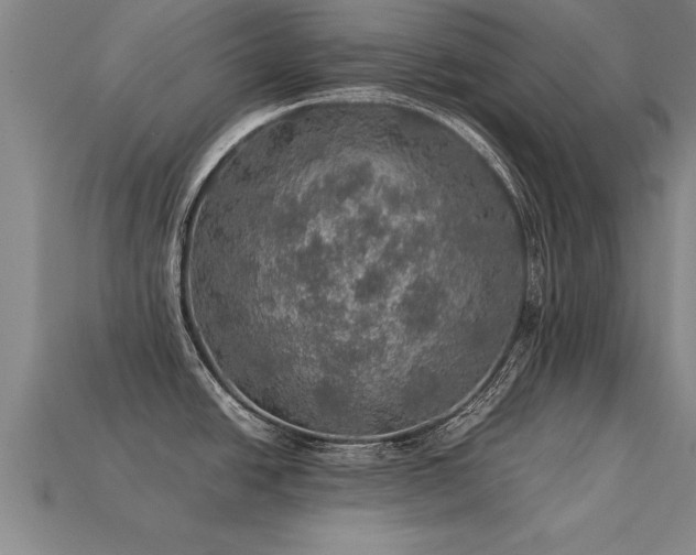 X0000113601438200909251147