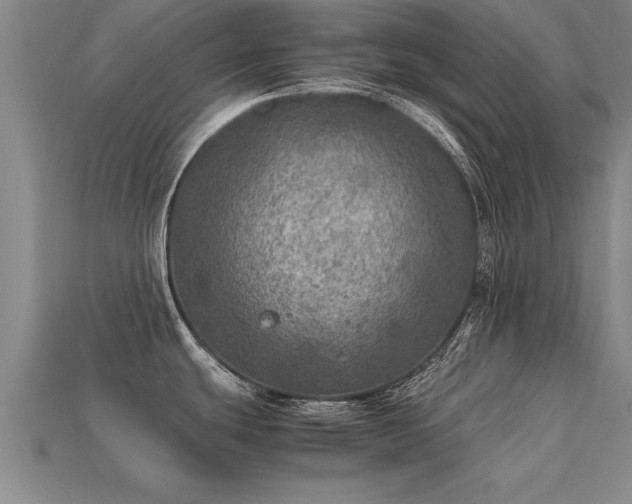 X0000113601439200909251147