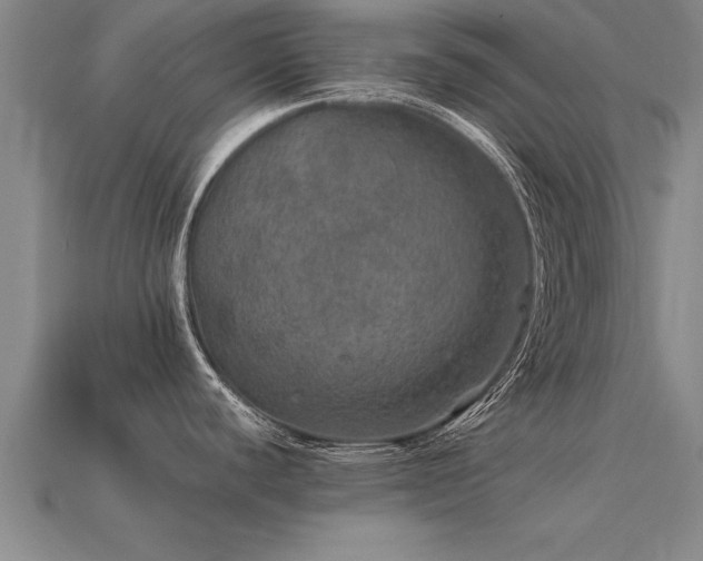 X0000113601440200909251147