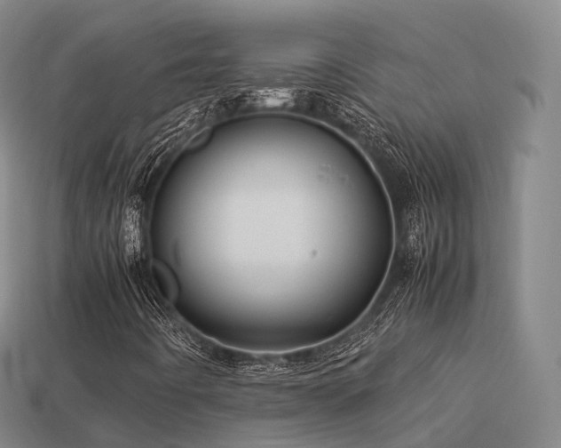 X0000113601442200909251146