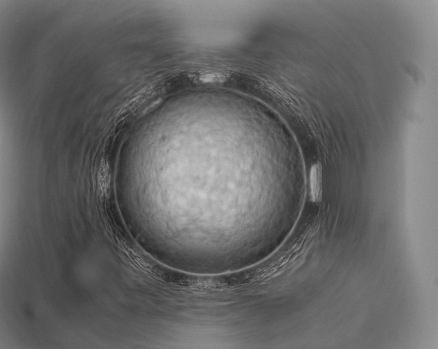 X0000113601443200909251146