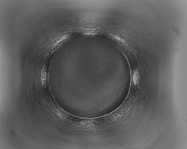 X0000113601444200909251146