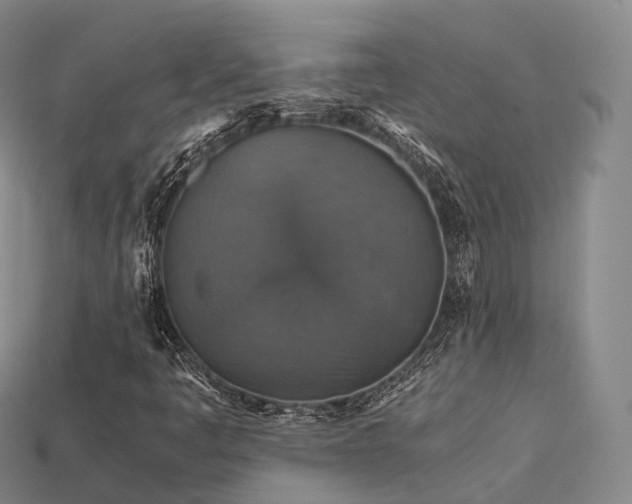 X0000113601445200909251146