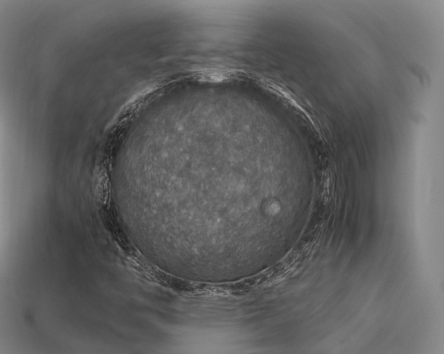 X0000113601446200909251146