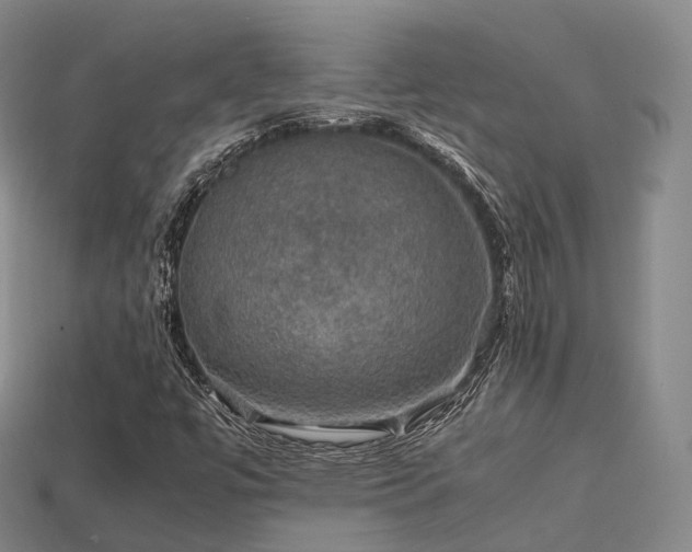 X0000113601447200909251146