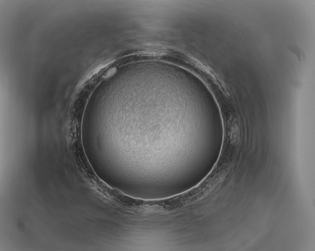 X0000113601448200909251146