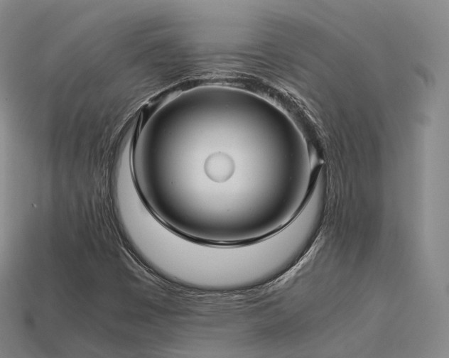 X0000113601449200909251146