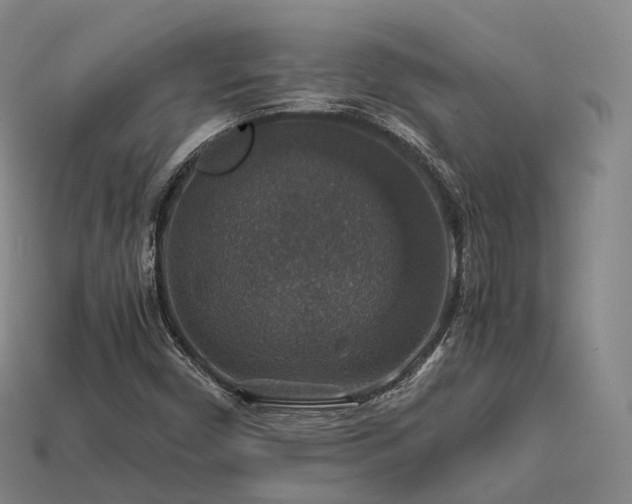 X0000113601450200909251146