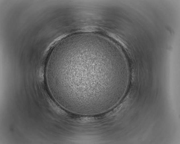 X0000113601451200909251146