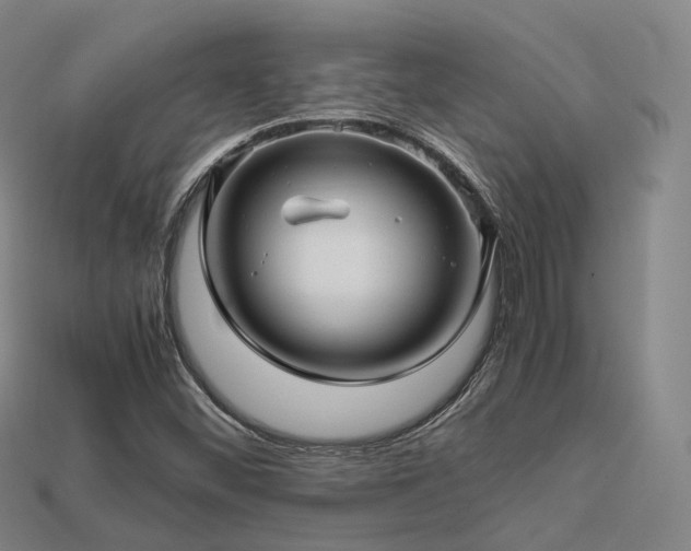 X0000113601452200909251146