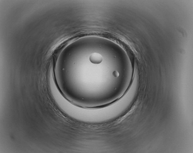 X0000113601453200909251146