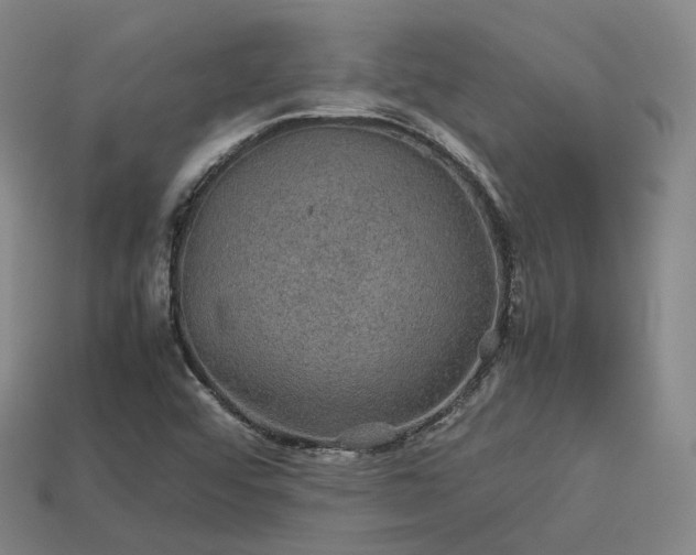 X0000113601456200909251146