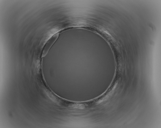 X0000113601457200909251146