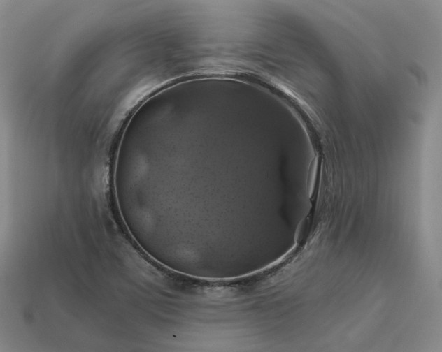 X0000113601459200909251146