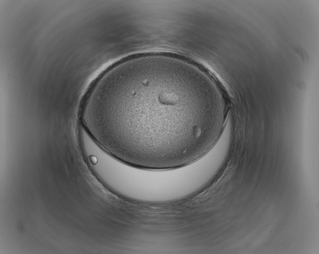 X0000113601460200909251146