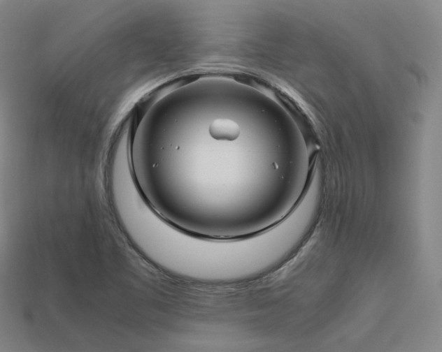 X0000113601461200909251146