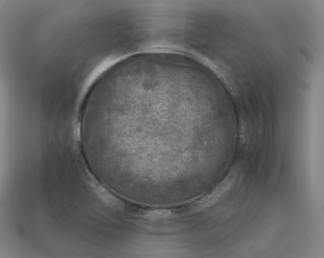 X0000113601462200909251146