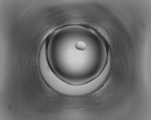 X0000113601465200909251146