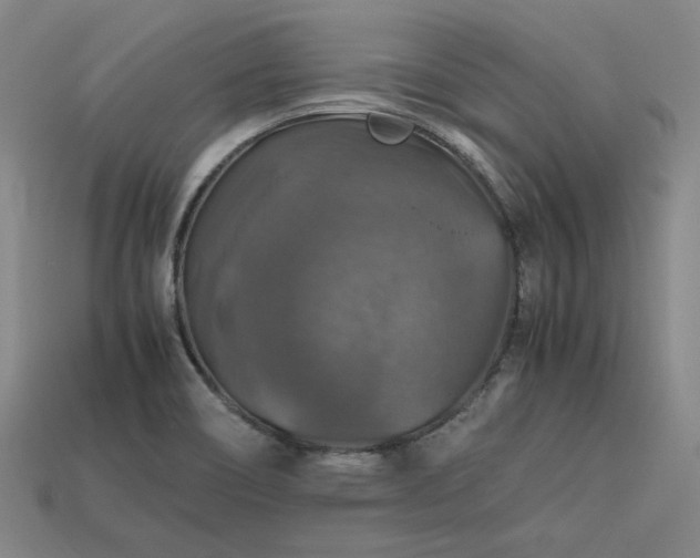 X0000113601466200909251146