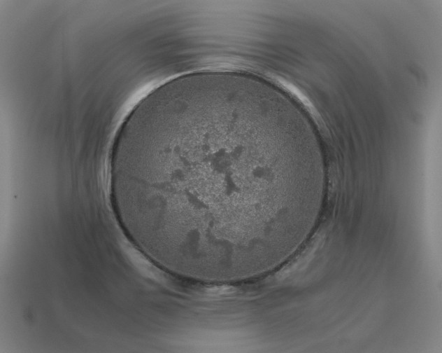 X0000113601467200909251146