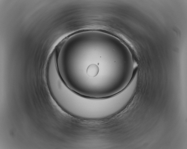 X0000113601468200909251146