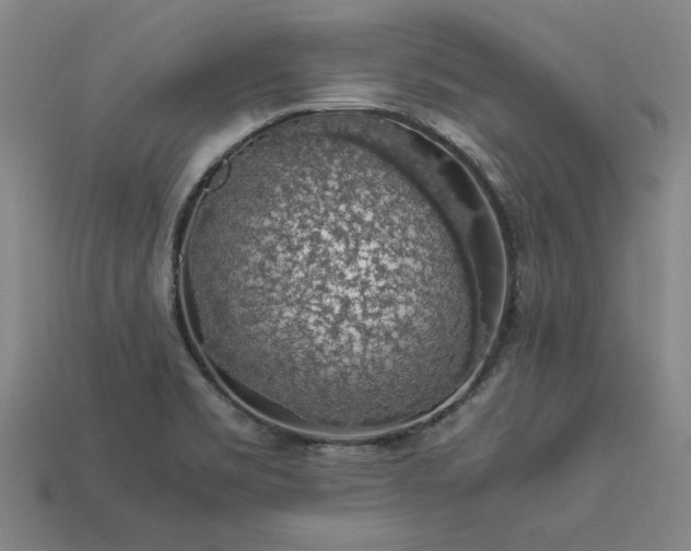 X0000113601469200909251146