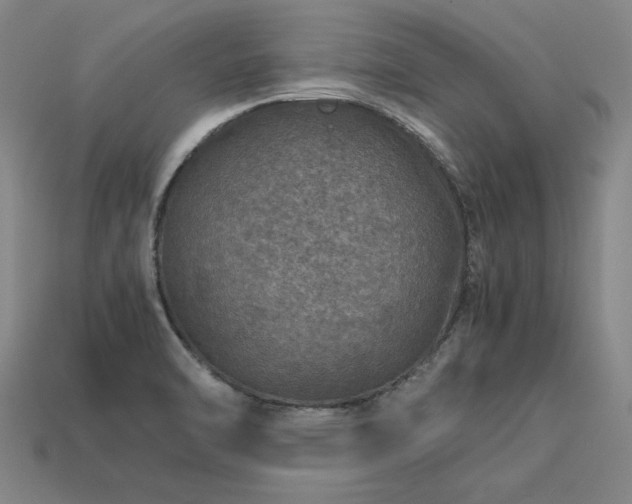 X0000113601470200909251146