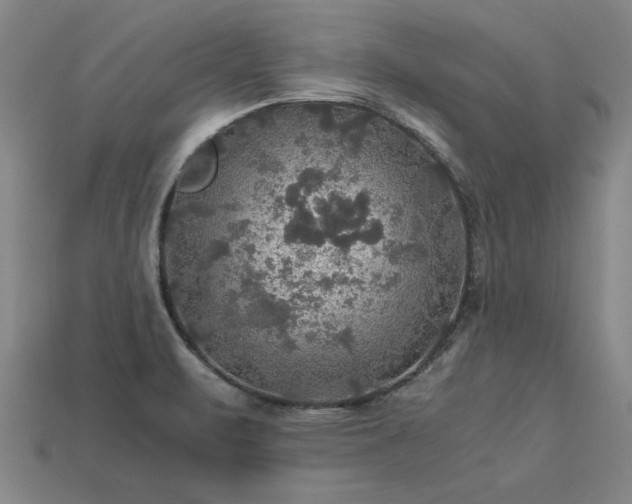 X0000113601471200909251146