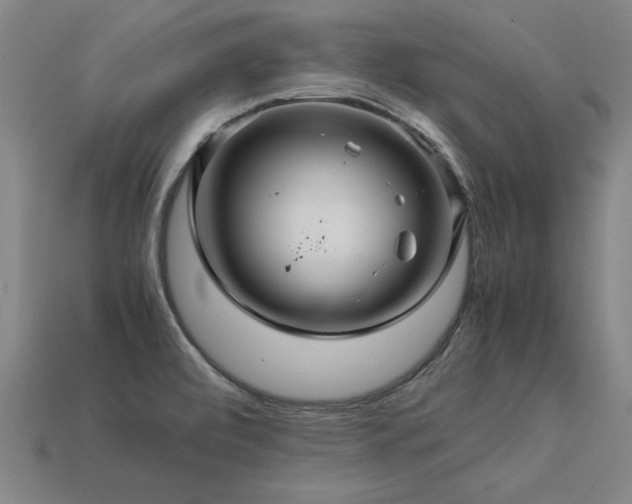 X0000113601472200909251146