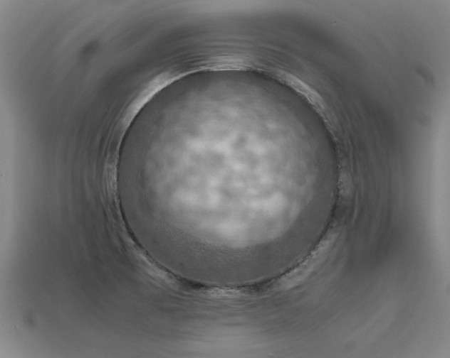 X0000113601473200909251146