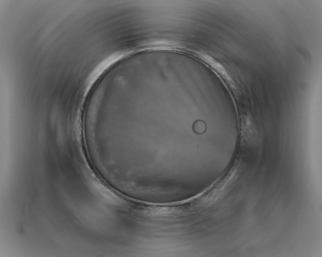 X0000113601474200909251146