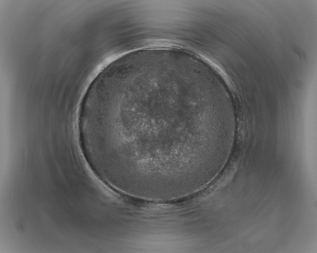 X0000113601475200909251146