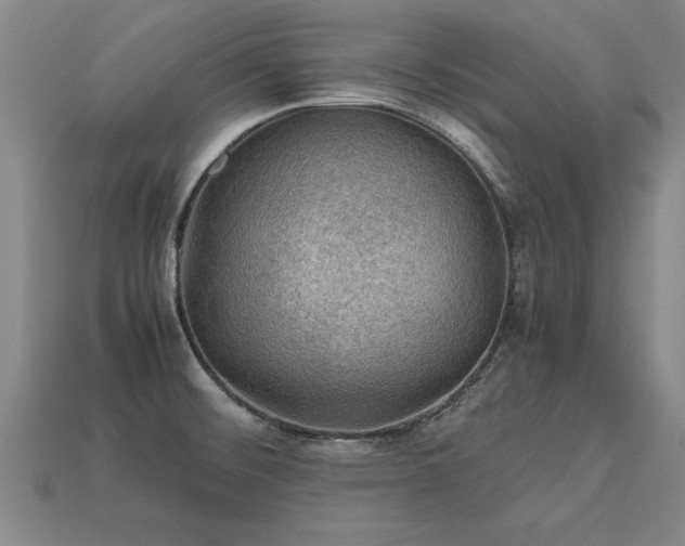 X0000113601476200909251146