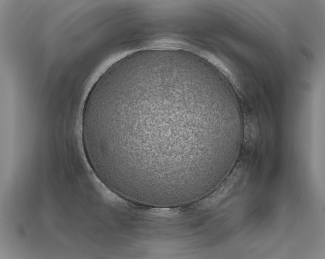 X0000113601478200909251146