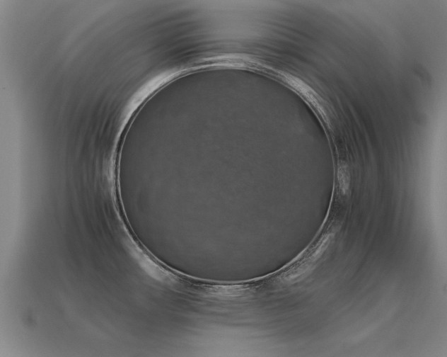 X0000113601482200909251146