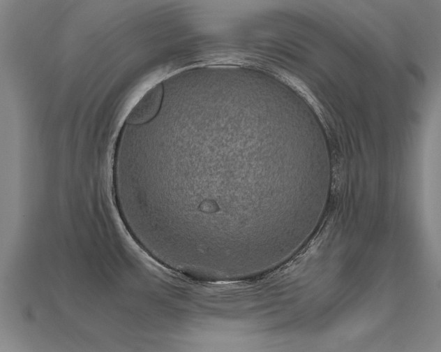 X0000113601483200909251146