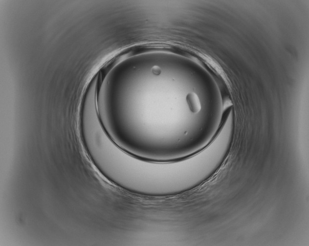 X0000113601485200909251146