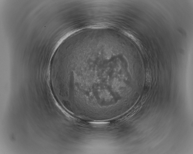 X0000113601487200909251146