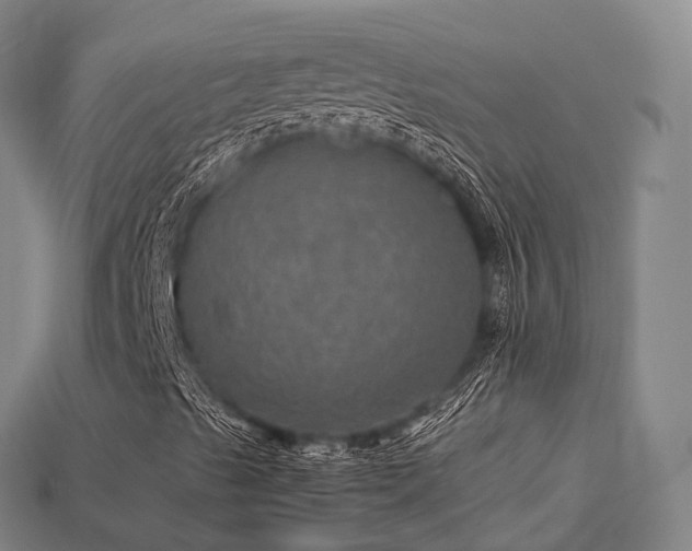 X0000113601489200909251145