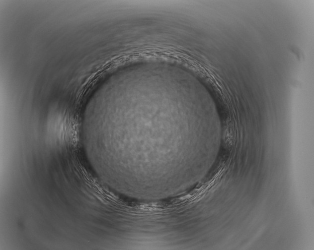 X0000113601490200909251145