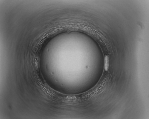 X0000113601491200909251145