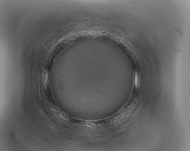 X0000113601492200909251145