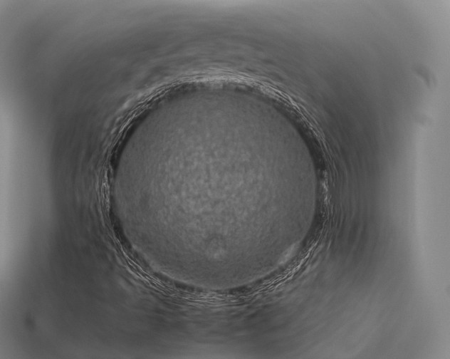 X0000113601493200909251145